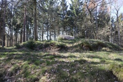 Tåstrup Runddysse (Randers)