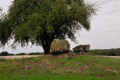 Vielsted Langdysse 3