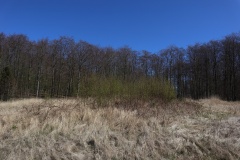 Marienborg Nylukke Skov Langdysse 2