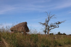 Stenbjerggård Langdysse