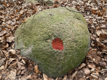 Ravnholm Skov Skåltegn
