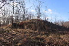 Kræmmerhøj Viemose Skov