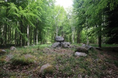 Ringelmose Skov Langdysse 2