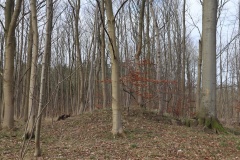 Bønsvig Hovedskov Jættestue