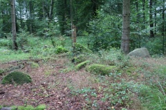 Flintinge Byskov Langdysse 3