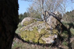 Korup Langdysse