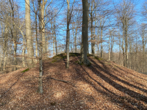 Trørød Skov Rundhøj 1