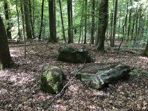 Bjergstedskoven Runddysse 1 - PID:221495