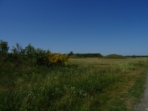 Holstebro Døeshøje - PID:262882 Holstebro Døeshøje - PID:262882