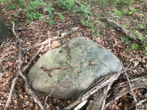 Lambjerg Indtægt Skåltegn 2