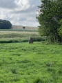 Sjellebro Sten - PID:293273