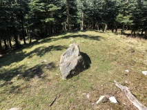 Næsbyholm Storskov Langdysse 3