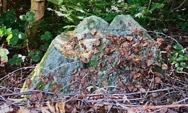 Tvede Skov Runddysse