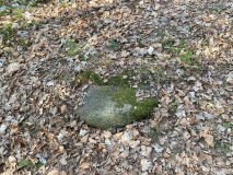 Jægersborg Hegn Rundhøj 1