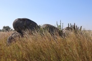 Magleskov Huse Jættestue