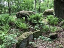 Bonderup Skov Langdysse 2