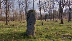 Kællingehøj Bautasten