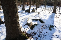 Rykkerup Skov Langdysse 1