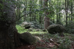 Brandelevholme Langdysse