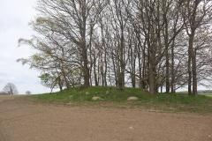 Bildsø Langdysse 6