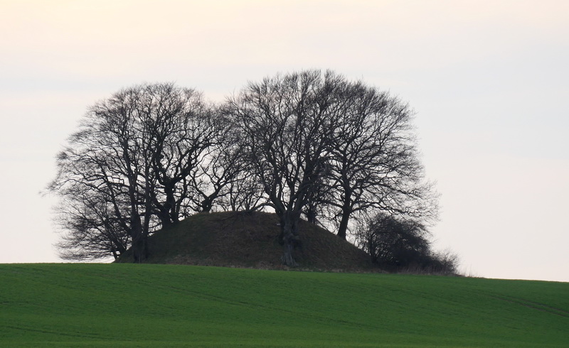 Truntehøj