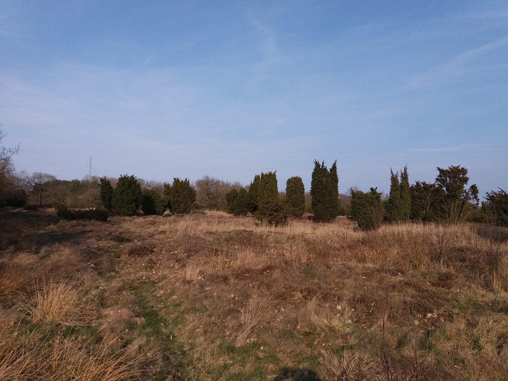 Egeby røser burial ground