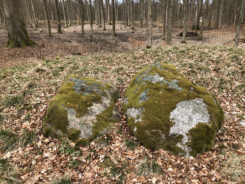 Risby Vang Megalitgrav
