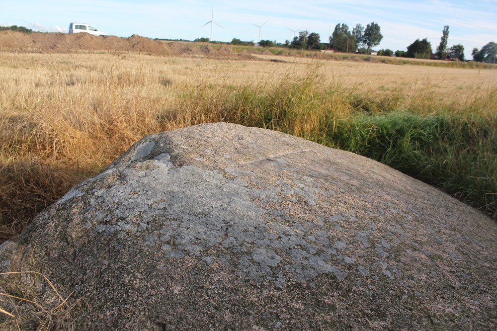 Click for the gallery page to add comments and vote (PID:137566) Vasagård cup marked Stone