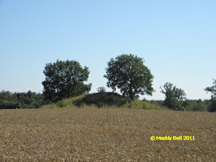Click for the gallery page to add comments and vote (PID:84353) Halskovvej Rundhøj
