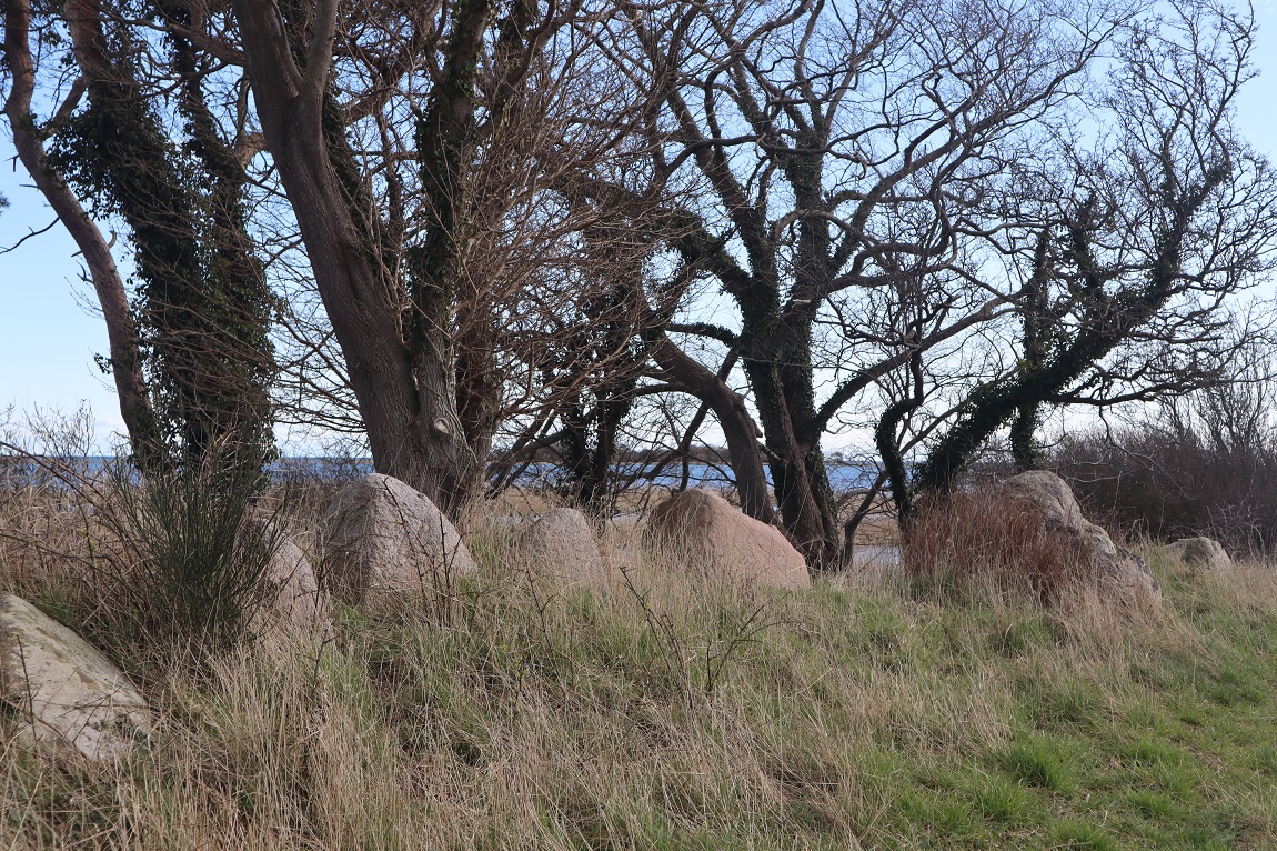 Kæmpegården Langdysse