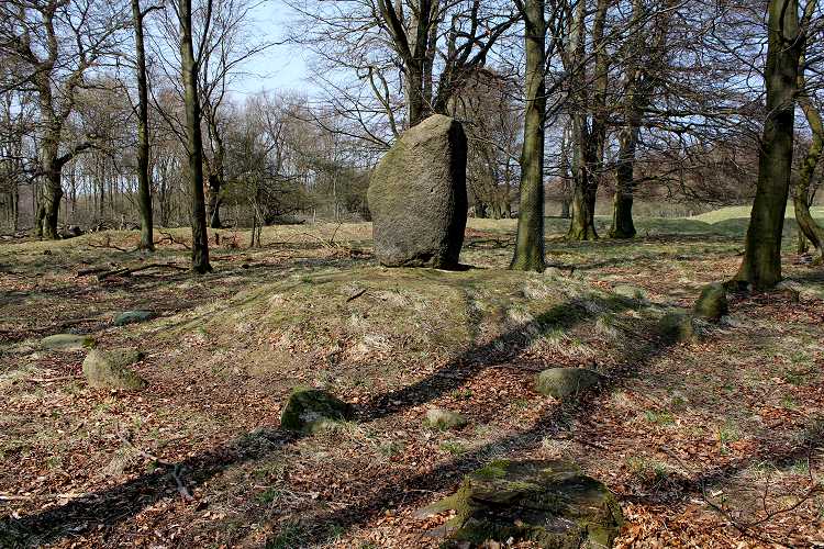 Click for full size image of Den Skandinaviske sten (PID:76019) Den Skandinaviske sten