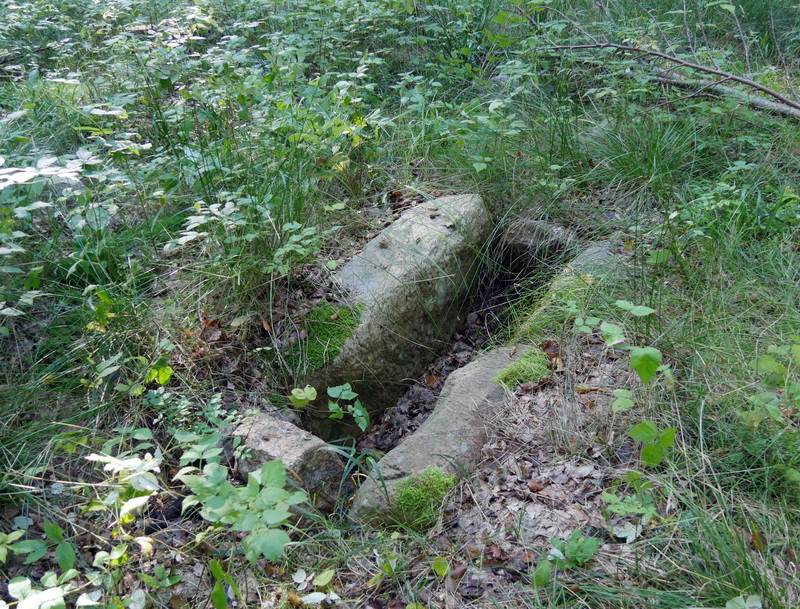 Vandværksvej Megalitgrav