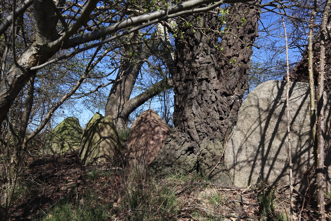 Tågekrog Langdysse