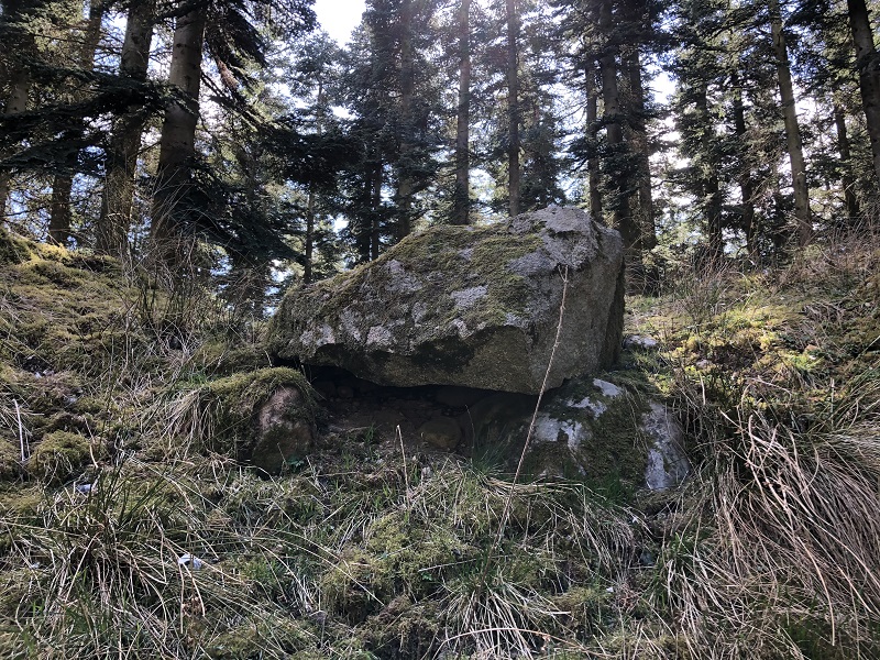 Næsbyholm Storskov Megalitgrav 5