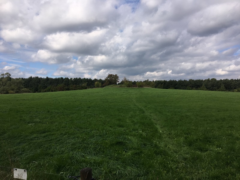 Låenhøj (Roskilde)