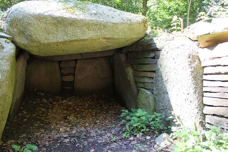 Frejlev Skov Jættestue 2