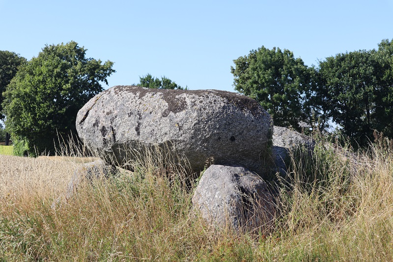Magleskov Huse Jættestue
