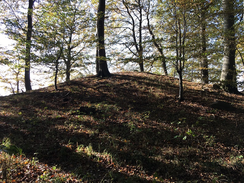 Herthadalen Gravhøj 2