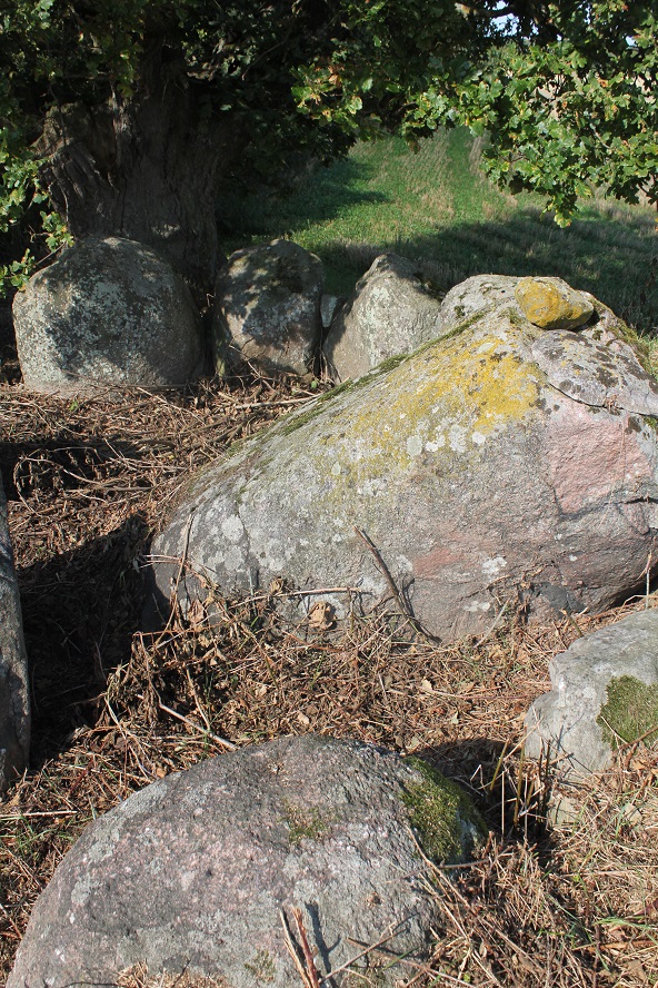 Click for the gallery page to add comments and vote (PID:157269) Hyldebrandsgård Jættestue