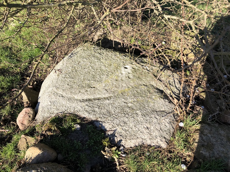 Studemarken Langdysse