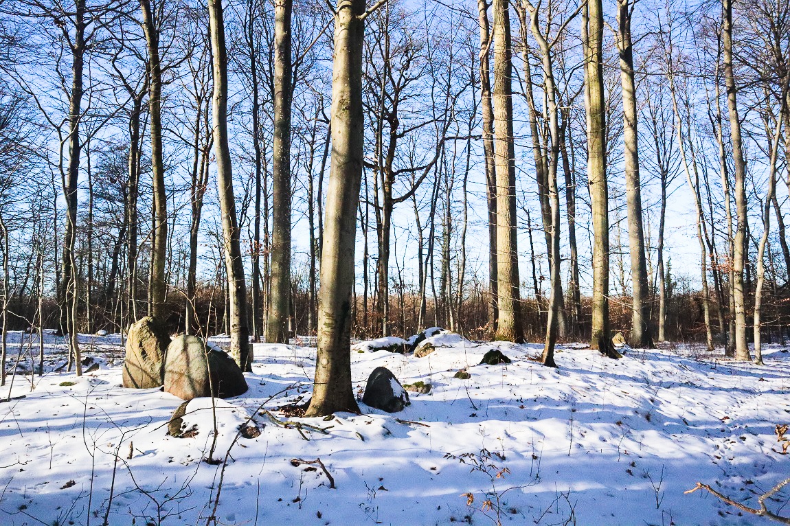 Click for the gallery page to add comments and vote (PID:223443) Rykkerup Skov Langdysse 1