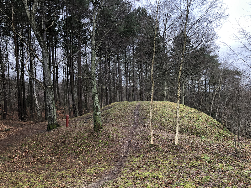 Hornbæk Plantage Rundhøj 2