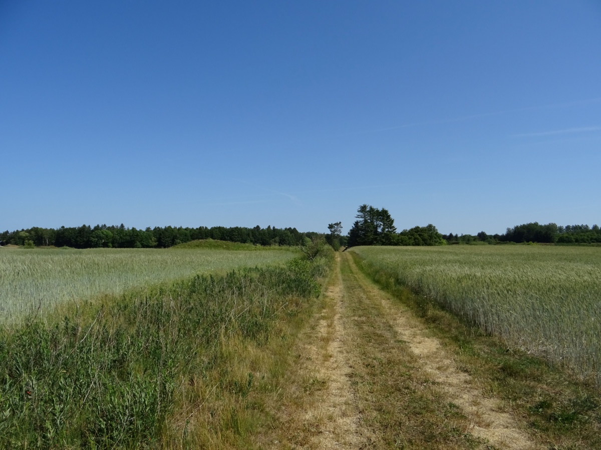 Click for the gallery page to add comments and vote (PID:262942) Hagebro Sorthøje Jættestue