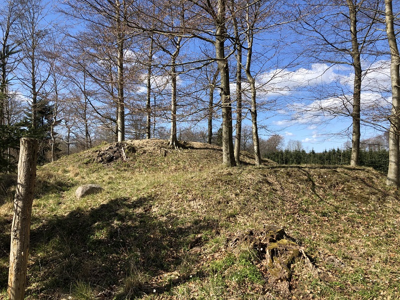 Næsbyholm Storskov Rundhøj 1