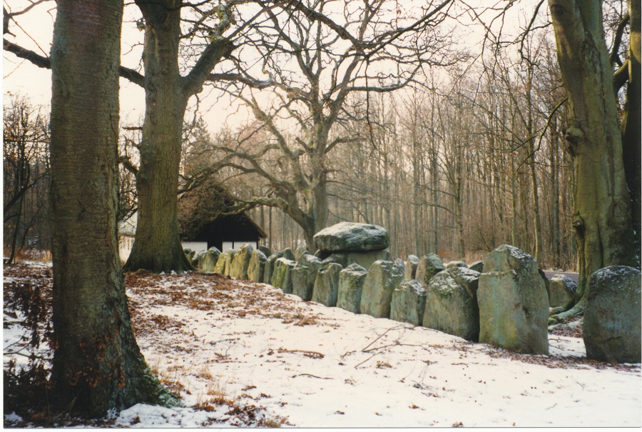 Click for the gallery page to add comments and vote (PID:199759) Skamstrup Langdysse