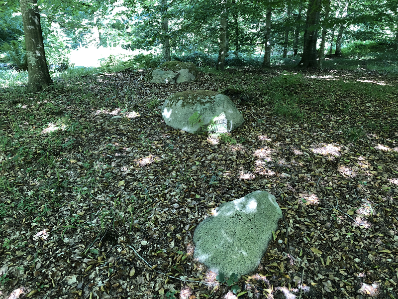 Østerholm Runddysse 3