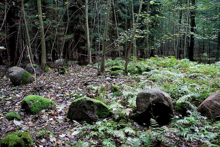 Flintinge Byskov Runddysse