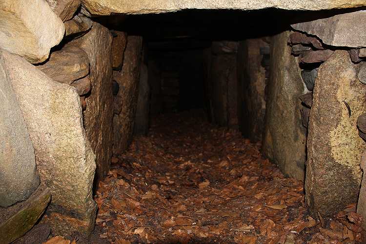 Frejlev Skov Jættestue 1