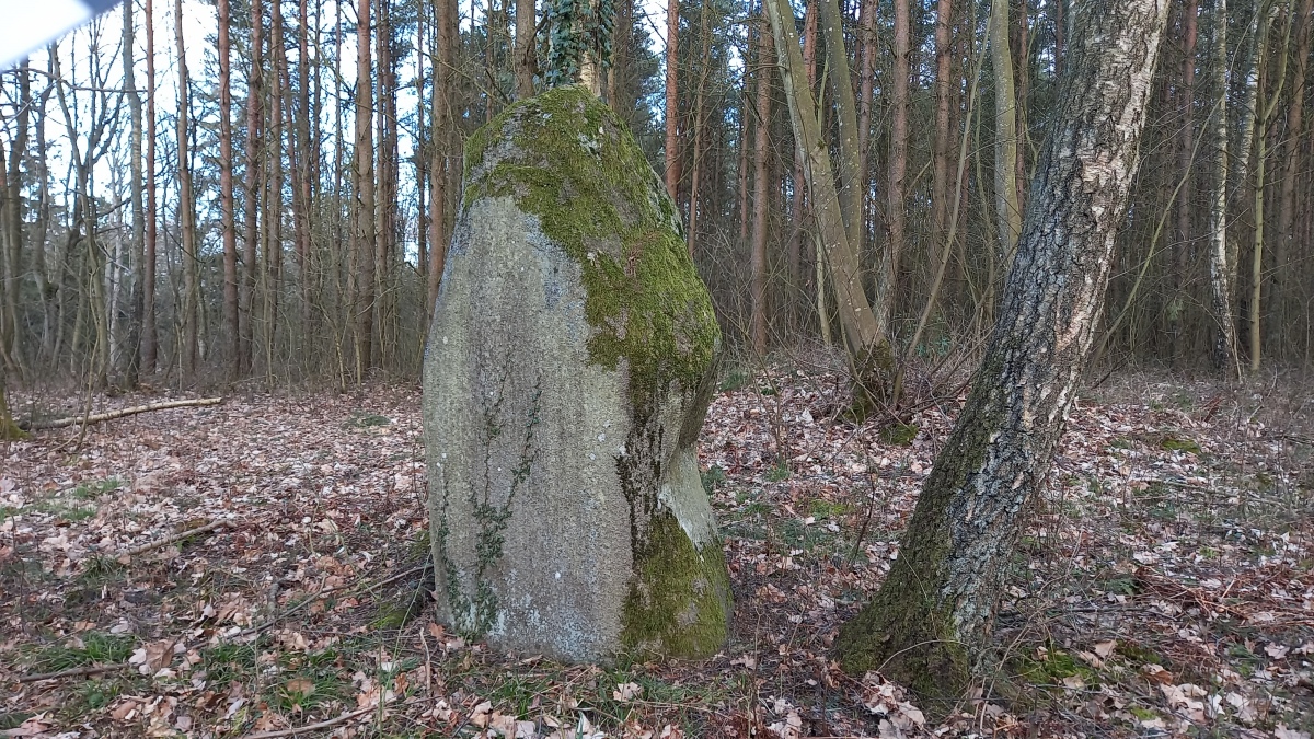 Click for the gallery page to add comments and vote (PID:256291) Blemmelyng-Kællinghøj Bautasten 3