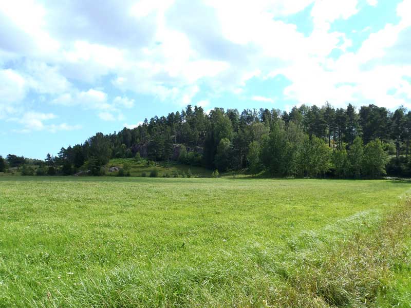 Borgboda Hillfort